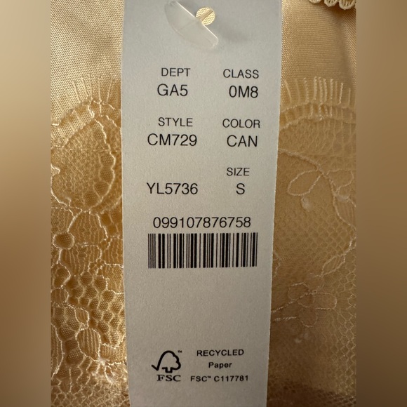 J.Crew “Gwen” Lace Trim Slip Skirt in Luster Charmeuse - Picture 6 of 6